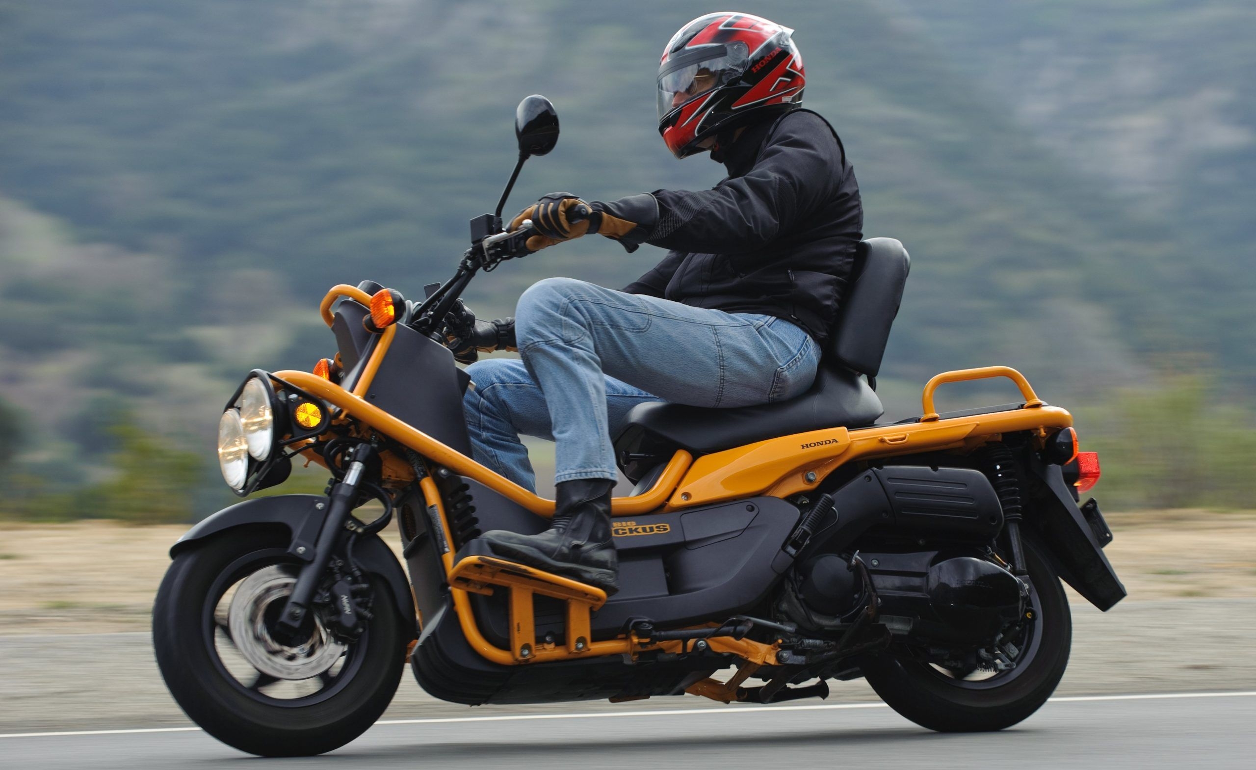 Honda Big Ruckus Motor Scooter Guide Honda Big Ruckus Motor  Honda Big Ruckus Motor Scooter Guide Honda Big Ruckus Motor